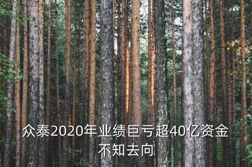 眾泰2020年業(yè)績巨虧超40億資金不知去向