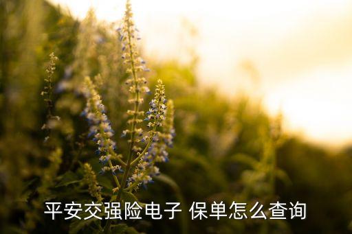 中國平安保險(xiǎn)保單