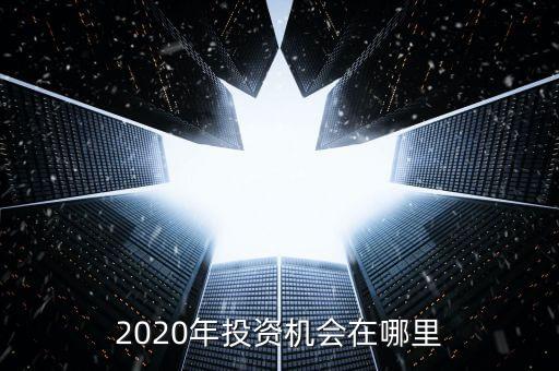 2020年投資機(jī)會(huì)在哪里