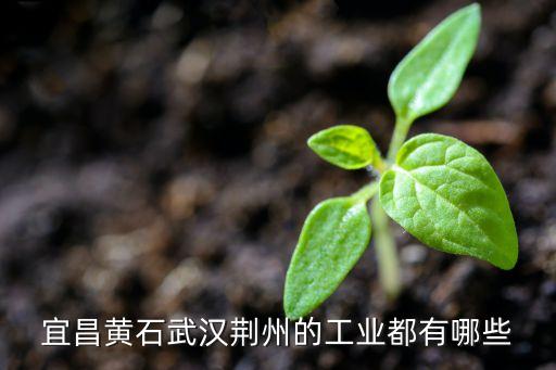 楚源高新科技集團(tuán)股份有限公司對(duì)位酯,湖北楚源高新科技股份有限公司