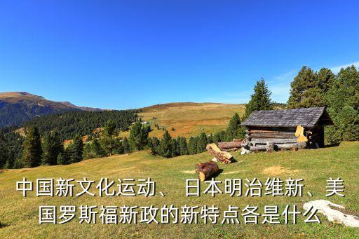 中國(guó)新文化運(yùn)動(dòng)、 日本明治維新、美國(guó)羅斯福新政的新特點(diǎn)各是什么