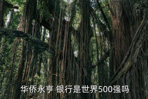  華僑永亨 銀行是世界500強嗎