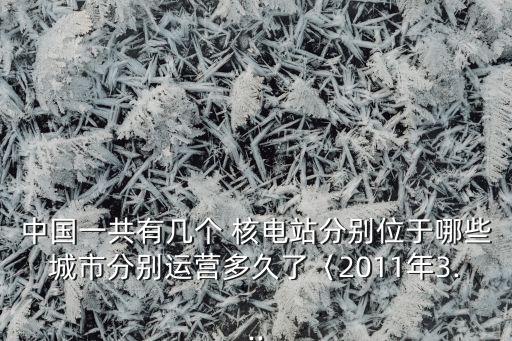 中國一共有幾個 核電站分別位于哪些城市分別運營多久了〈2011年3...