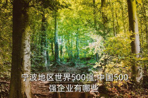  寧波地區(qū)世界500強(qiáng),中國500強(qiáng)企業(yè)有哪些