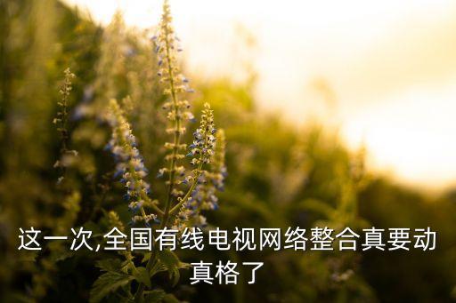 這一次,全國有線電視網(wǎng)絡(luò)整合真要?jiǎng)诱娓窳? class=