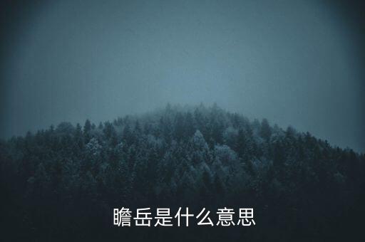 南京瞻岳通信技術(shù)有限公司