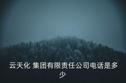 云南云天化集團(tuán)公章