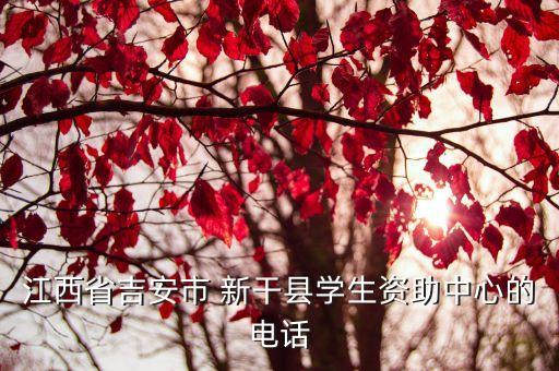 江西省吉安市 新干縣學(xué)生資助中心的電話