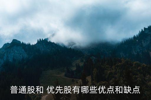 普通股和 優(yōu)先股有哪些優(yōu)點(diǎn)和缺點(diǎn)