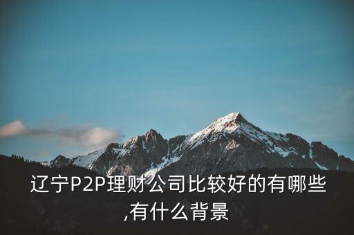  遼寧P2P理財(cái)公司比較好的有哪些,有什么背景