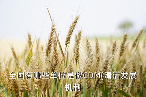 全國有哪些單位是做CDM(清潔發(fā)展機制