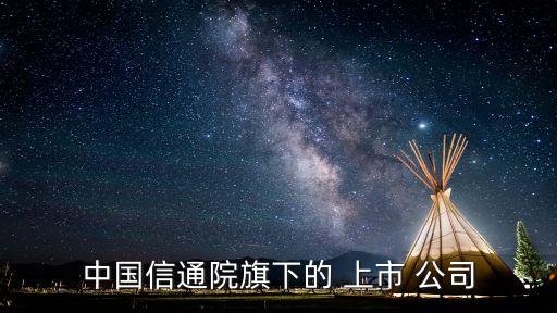 信息技術龍頭企業(yè)上市公司有哪些,海南上市公司龍頭企業(yè)有哪些