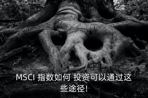 msci全球可投資市場指數(shù)編制方法