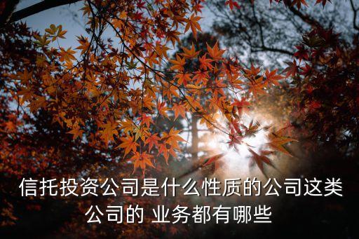  信托投資公司是什么性質(zhì)的公司這類公司的 業(yè)務(wù)都有哪些