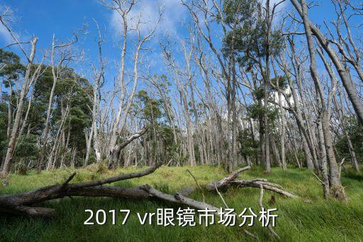 2017 vr眼鏡市場分析