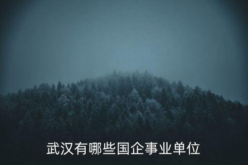 湖北建設機械股份有限公司,陜西建設機械股份有限公司待遇怎么樣