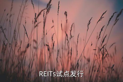 REITs試點(diǎn)發(fā)行