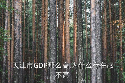  天津市GDP那么高,為什么存在感不高