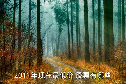 2011年現(xiàn)在最低價 股票有哪些