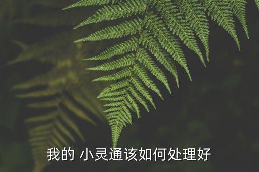 我的 小靈通該如何處理好