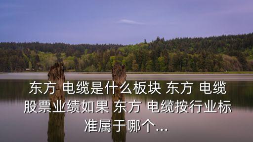  東方 電纜是什么板塊 東方 電纜 股票業(yè)績(jī)?nèi)绻?東方 電纜按行業(yè)標(biāo)準(zhǔn)屬于哪個(gè)...