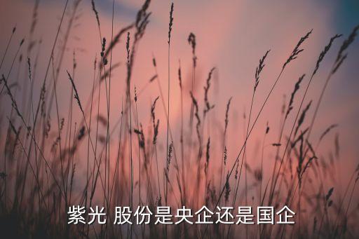 紫光卓遠(yuǎn)股份投資有限公司,北京卓遠(yuǎn)財富投資有限公司