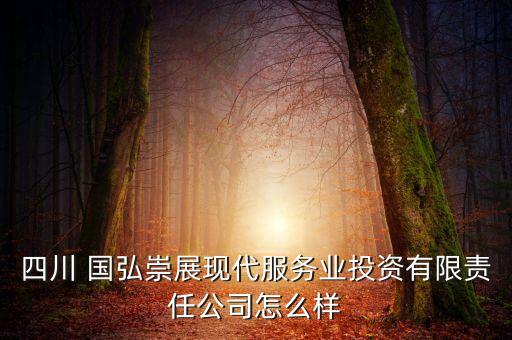 四川 國弘崇展現(xiàn)代服務(wù)業(yè)投資有限責(zé)任公司怎么樣