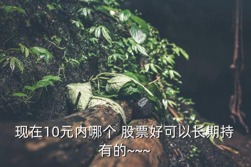 現(xiàn)在10元內(nèi)哪個(gè) 股票好可以長(zhǎng)期持有的~~~