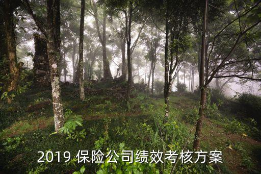 2019 保險(xiǎn)公司績效考核方案