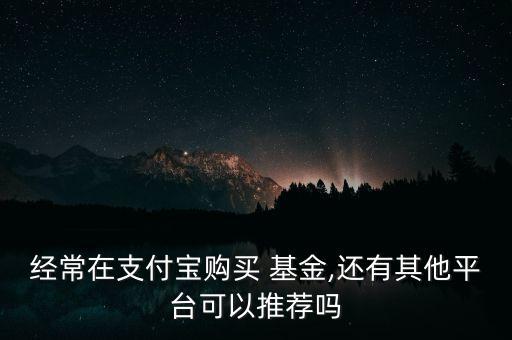 經(jīng)常在支付寶購買 基金,還有其他平臺可以推薦嗎