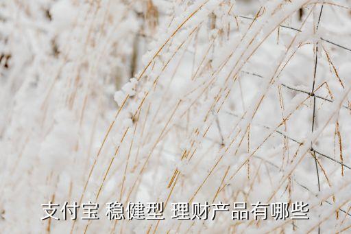 穩(wěn)健理財(cái)投資推薦,理財(cái)穩(wěn)健投資什么意思