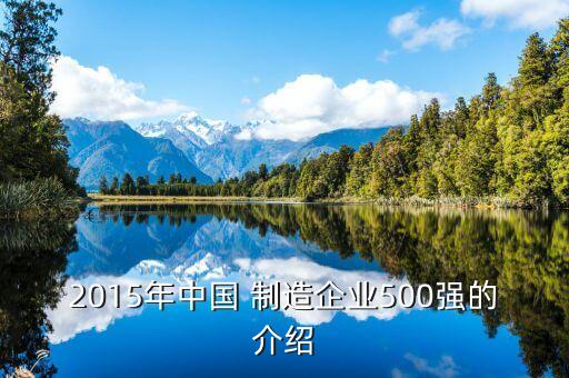 2015年中國(guó) 制造企業(yè)500強(qiáng)的介紹