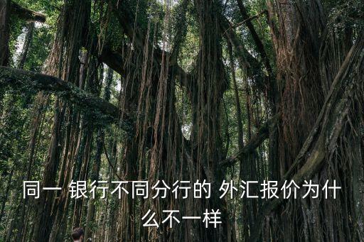 同一 銀行不同分行的 外匯報(bào)價(jià)為什么不一樣