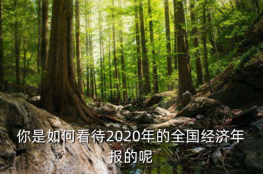 你是如何看待2020年的全國經濟年報的呢