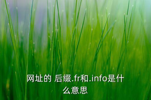 網(wǎng)址的 后綴.fr和.info是什么意思