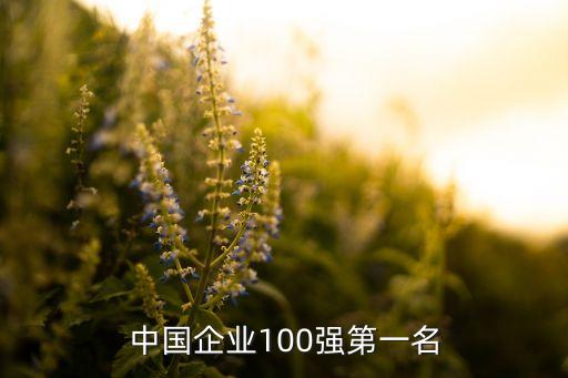 中國企業(yè)100強第一名