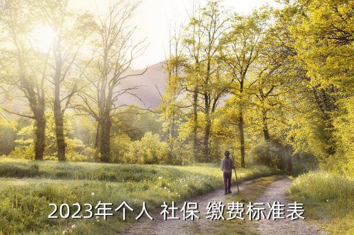 2023年個(gè)人 社保 繳費(fèi)標(biāo)準(zhǔn)表