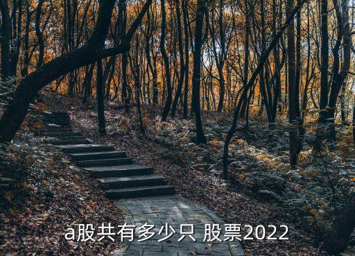 a股共有多少只 股票2022