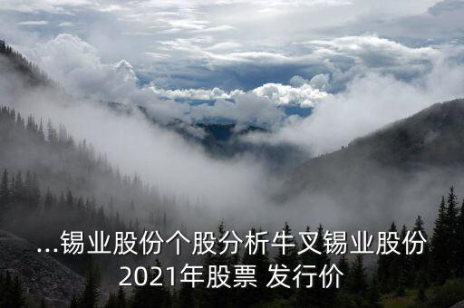 ...錫業(yè)股份個股分析牛叉錫業(yè)股份2021年股票 發(fā)行價