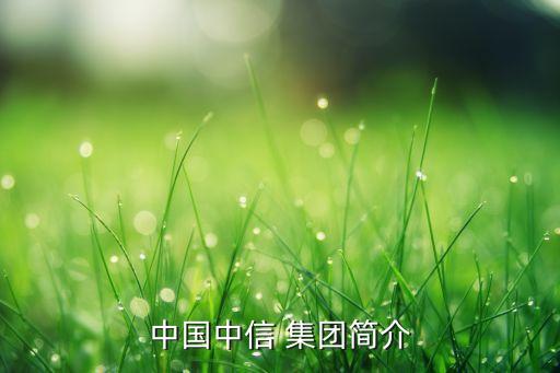 中國(guó)中信 集團(tuán)簡(jiǎn)介