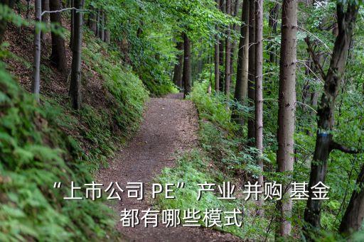 “上市公司 PE”產(chǎn)業(yè) 并購(gòu) 基金都有哪些模式