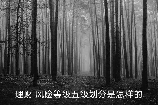 投資風(fēng)險的分類,再投資風(fēng)險