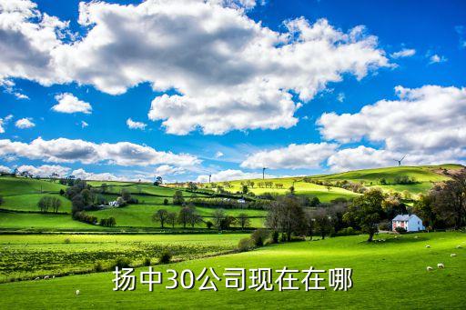 揚(yáng)中30公司現(xiàn)在在哪