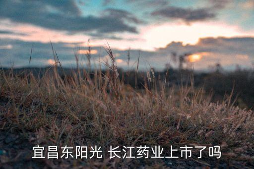 長(zhǎng)江醫(yī)藥投資,湖北長(zhǎng)江醫(yī)藥集團(tuán)