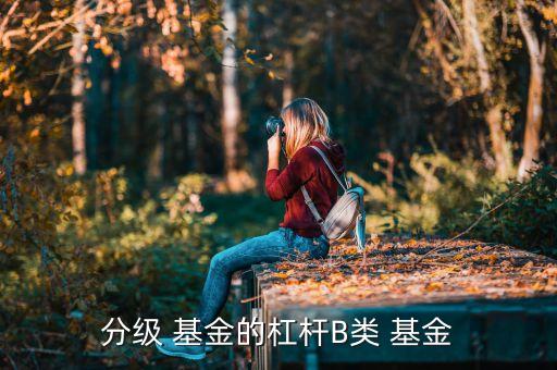 分級(jí) 基金的杠桿B類(lèi) 基金