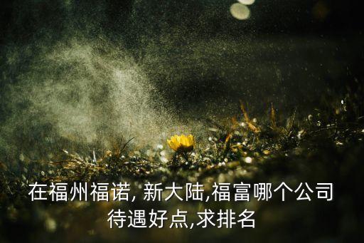 在福州福諾, 新大陸,福富哪個公司待遇好點(diǎn),求排名