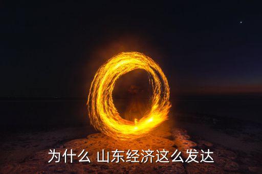 山東大王集團(tuán)董事長(zhǎng),山東高速集團(tuán)董事長(zhǎng)