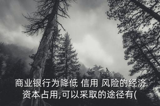  商業(yè)銀行為降低 信用 風險的經(jīng)濟資本占用,可以采取的途徑有(