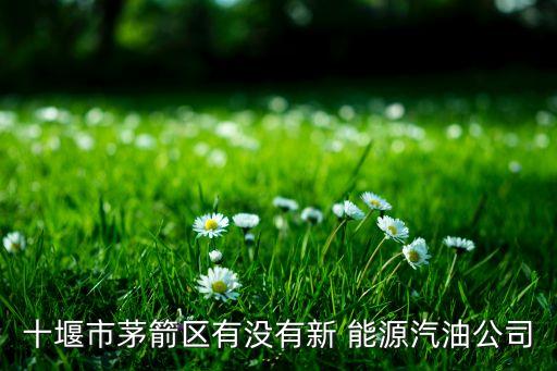 十堰市茅箭區(qū)有沒(méi)有新 能源汽油公司