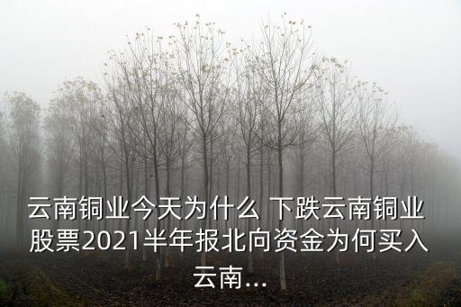 云南銅業(yè)今天為什么 下跌云南銅業(yè) 股票2021半年報(bào)北向資金為何買(mǎi)入云南...